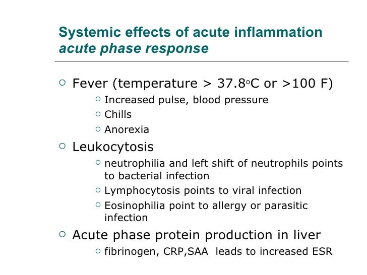 acute inflammation essay Nursing care: acute pancreatitis - essay example acute inflammation of the organ is actually let us find you another essay on topic nursing care: acute. acute inflammation essay Nursing care: acute pancreatitis - essay example acute inflammation of the organ is actually let us find you another essay on topic nursing care: acute.